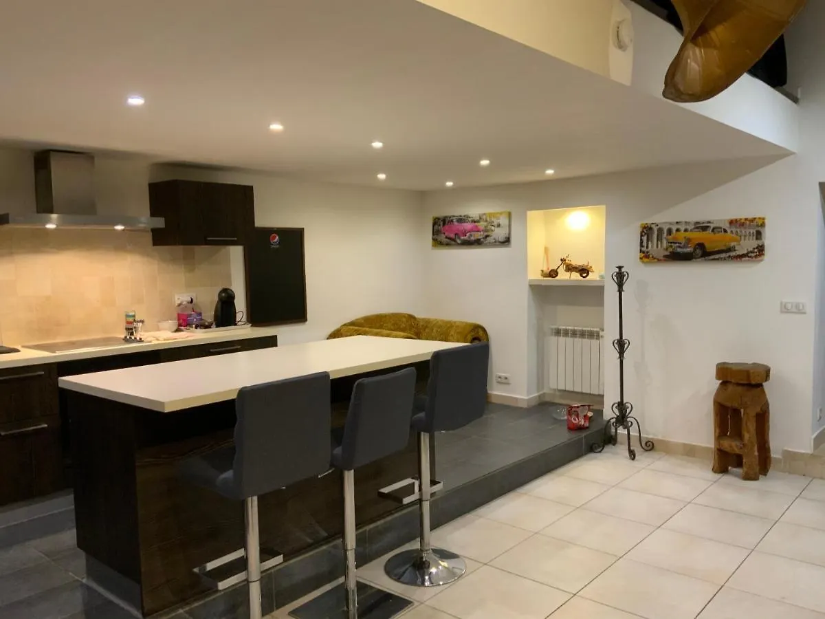 Le Loft Apartment Saint-Etienne-de-Tinee